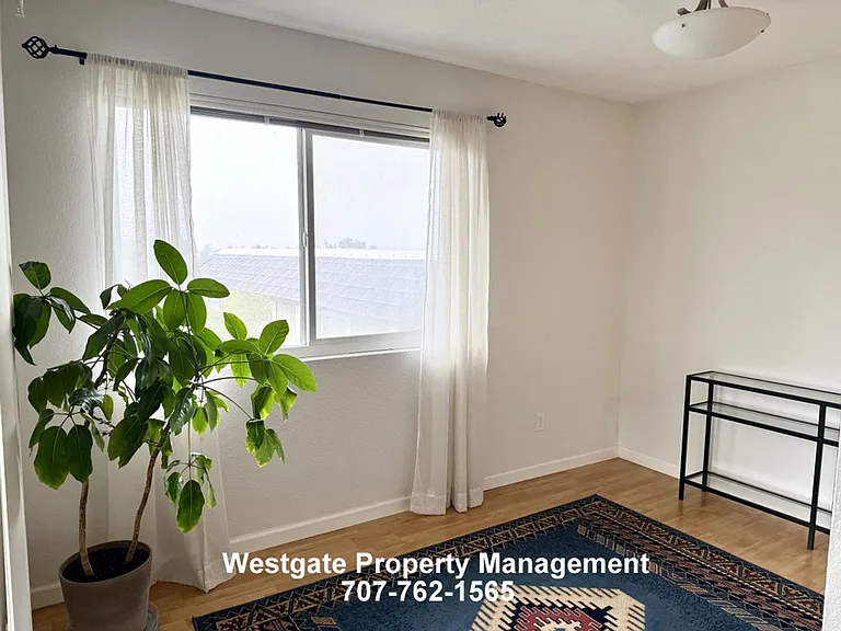 142 Cherry St — Photo 7