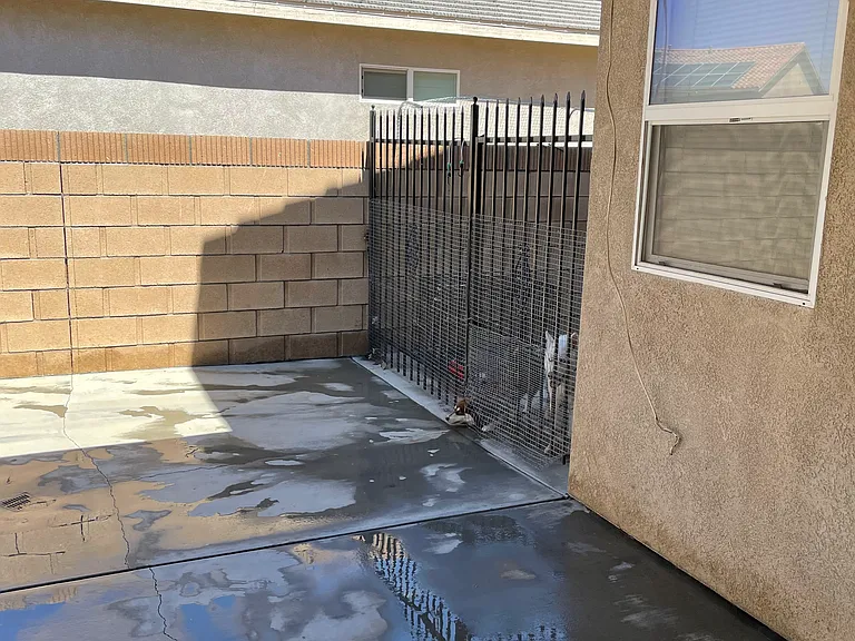 Front of Dog kennel