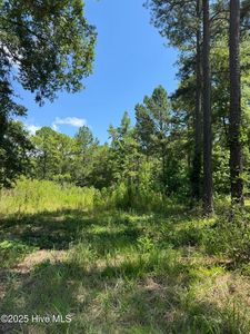 244 Rascob Road, Sanford, NC, 27330