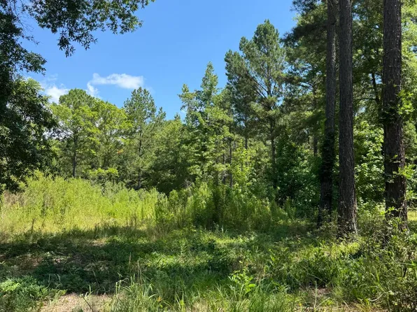 244 Rascob Road, Sanford, NC 27330