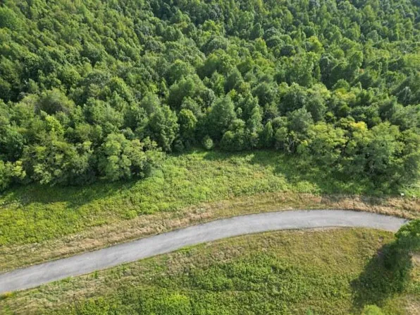 23 River Ridge Ln, Mount Nebo, WV 26679