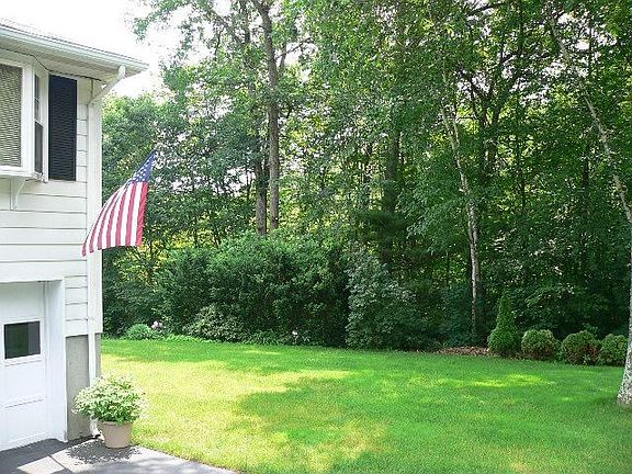 Borders wooded area