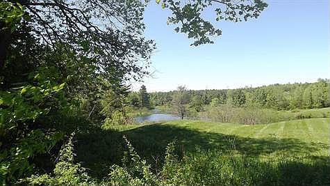 views from the decking