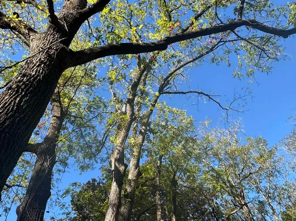 0 Chandler Rd, Easley, SC 29640