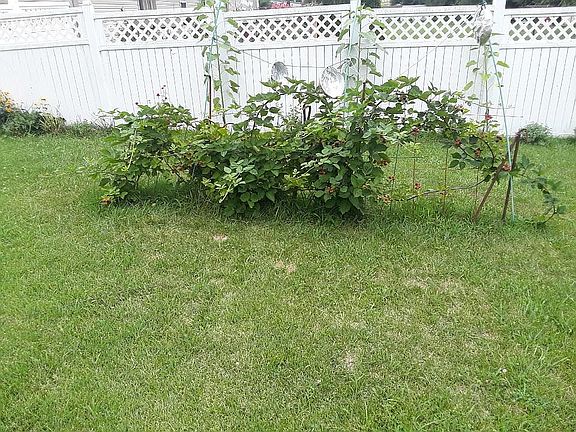 5th image of 851 E Fleetwood Dr