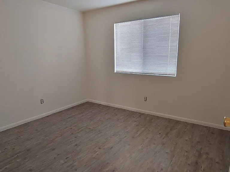 1884 Nebula Dr — Photo 6
