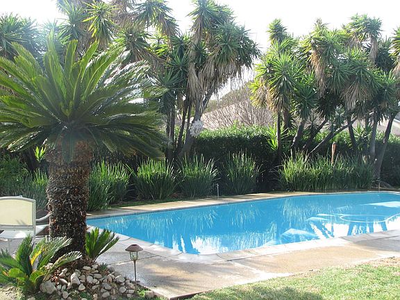 Beautiful & Refreshing Swimming Pool