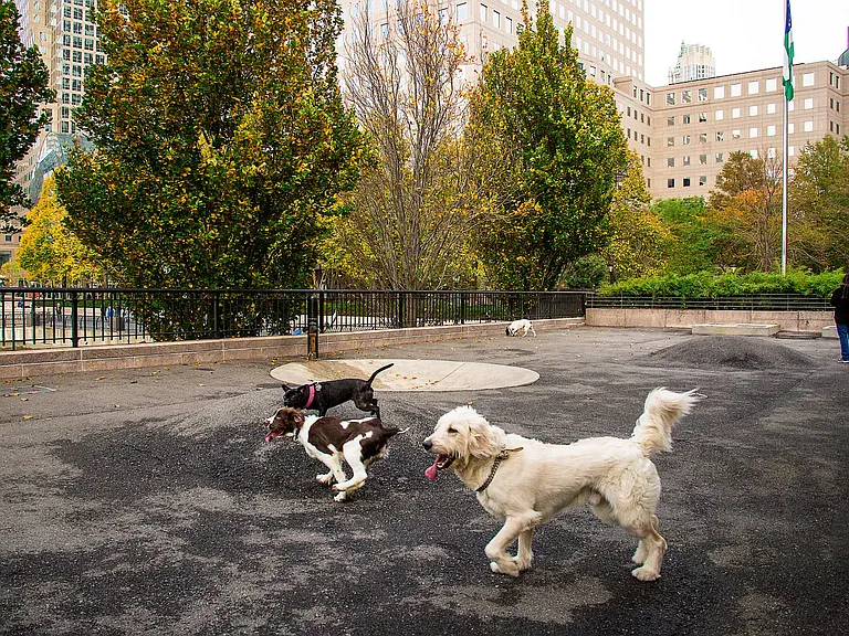 Bring your furry friend to the dog run at Gateway