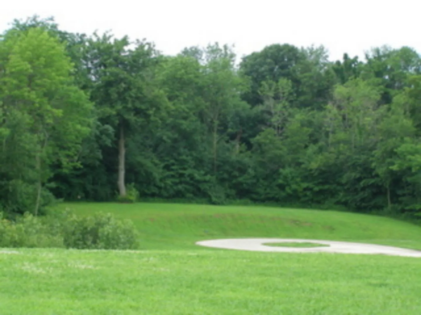 14 Wedgewood Dr photo 1