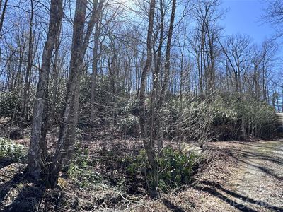 0 Walk About Trl, Fletcher, NC, 28732