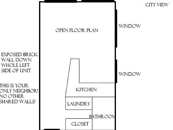 Layout- peninsula kitchen and open bedroom/living room space