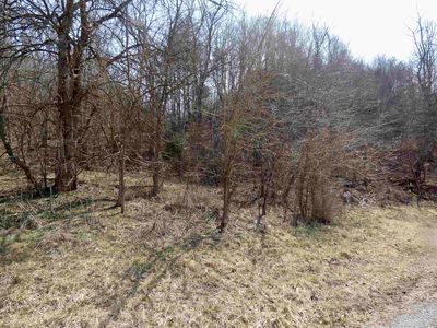 Tbd Wilkins Ln, Wytheville, VA, 24382