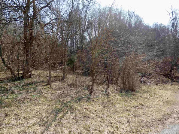 Tbd Wilkins Ln, Wytheville, VA 24382