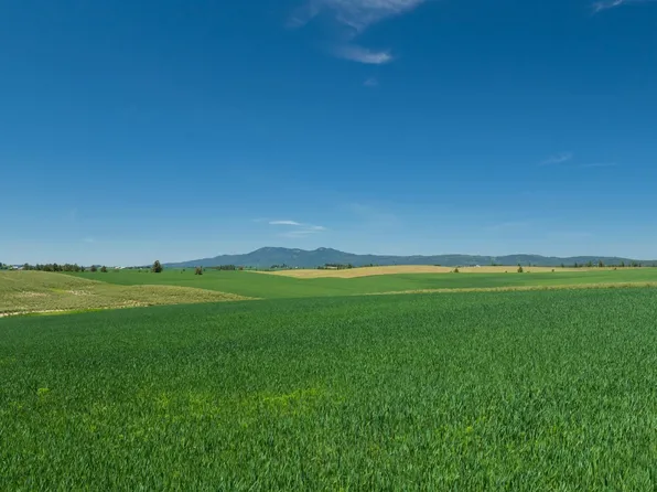 Tbd Little Bear Ridge Rd, Troy, ID 83871