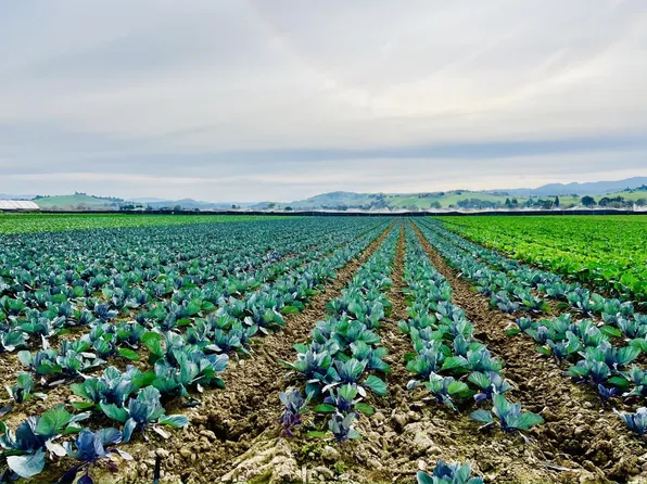 Riverside, Hollister, CA 95023