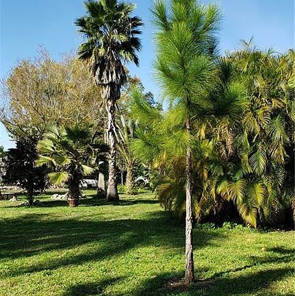 3rd image of 370 Avenue N SW