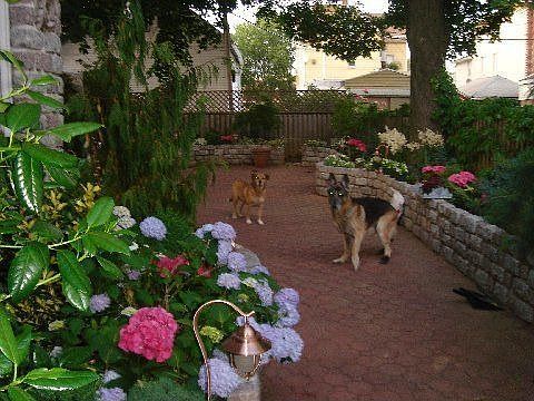 Portion of Back Yard