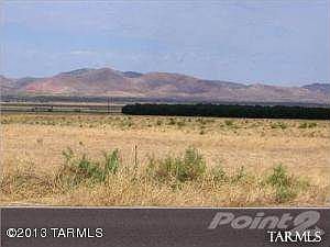 Pecan Orchard to the West