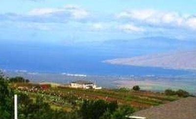 215 Kulamanu Cir, Kula, HI, 96790