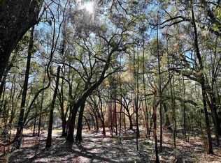 Vacant Se Rollercoaster Hill Rd, Madison, FL 32340