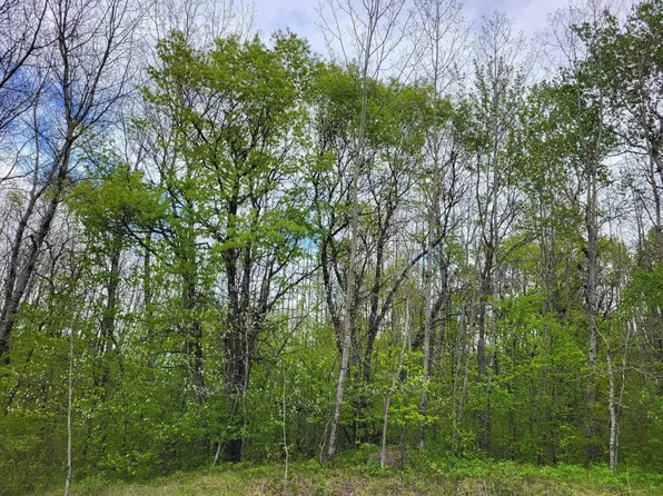 Tetlow Ter, Wausaukee, WI 54177