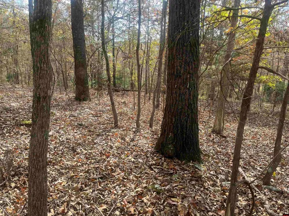 001-05919-010 Powderhorn Way, Mountain Home, AR 72653