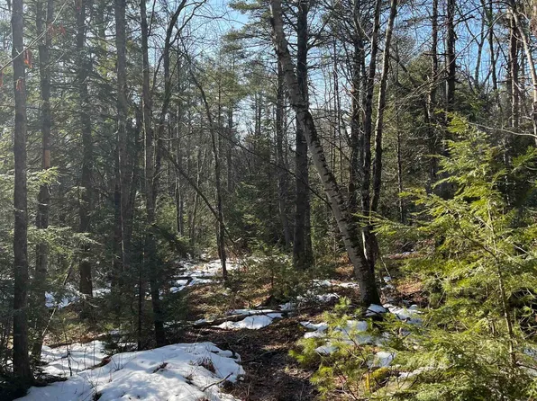 Map 8 Lot 7-06 NH Route 12 S, Fitzwilliam, NH 03447