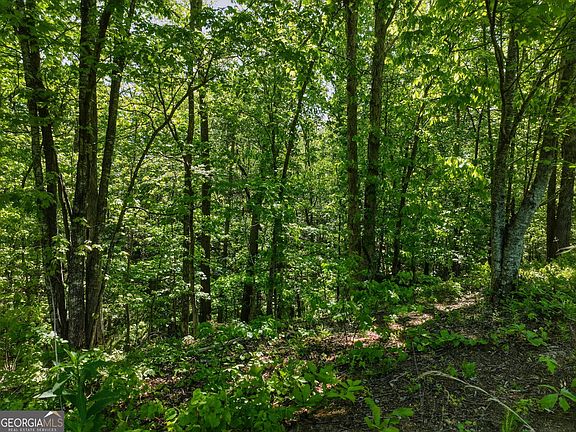 4th image of 5 Summit Dr