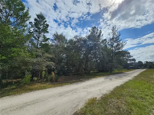 1015 Seminole Bear Trl #4, Pierson, FL 32180