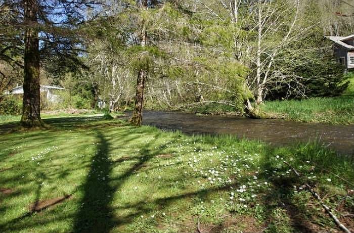 Creek Front Property