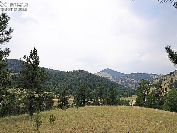 4th image of 726 Copper Mountain Dr