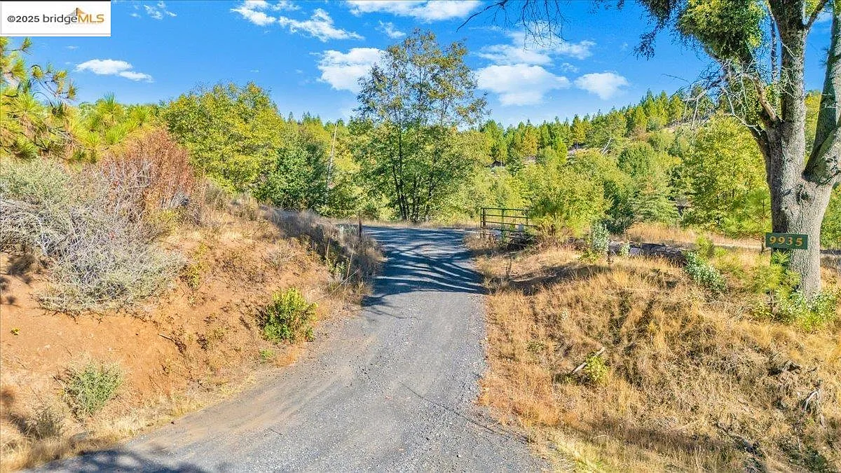 0 Jackass Creek Rd photo 1