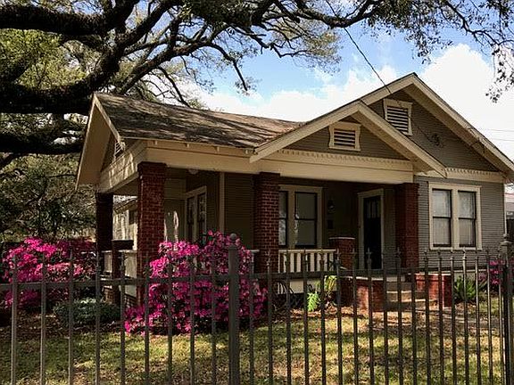 Beautiful azaleas bloom in March.