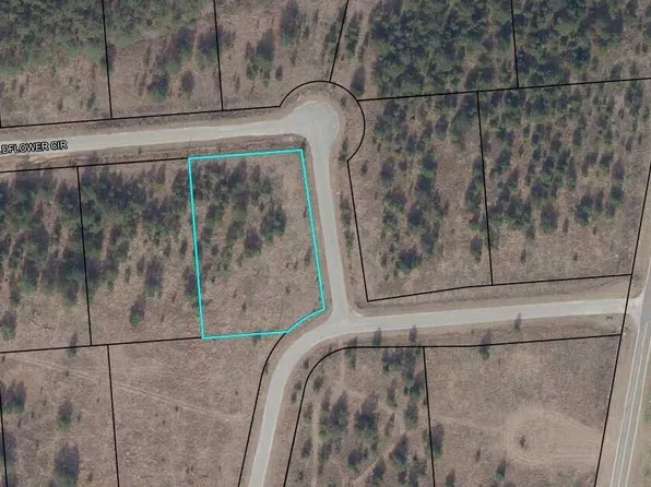 529 Wildflower Cir, Metter, GA 30439