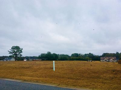 16223 NW 205th St, High Springs, FL, 32643