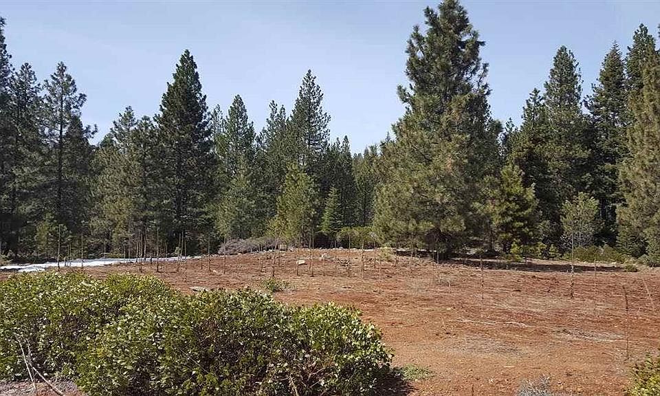 2nd image of 380 Bailey Creek Rd