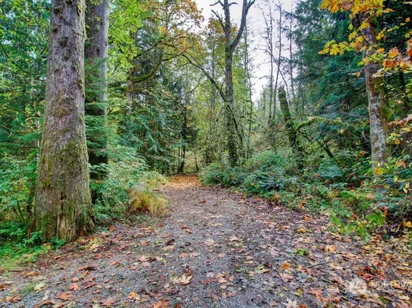 3 7 Big Tree Drive, Deming, WA 98244