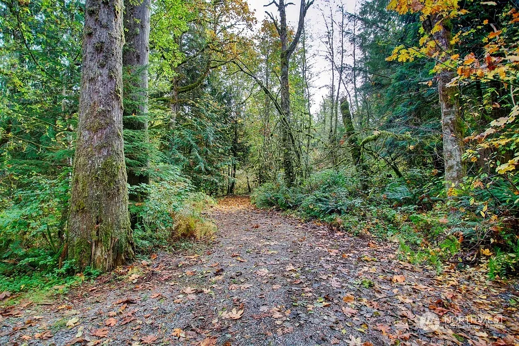 3 7 Big Tree Drive photo 1