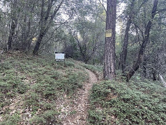 3rd image of Defender Grade