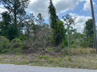 LOT 3 Long Lake Ave LOT 3, Brooksville, FL 34613