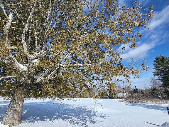 4th image of 000 Mountain View Road