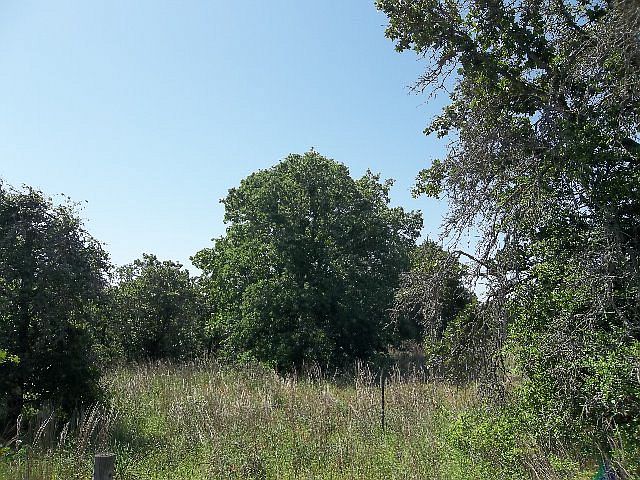 1st image of 233 Sandy Oaks Dr