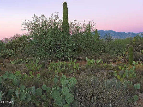 11876 N Vista Del Sol Pl #21, Tucson, AZ 85742