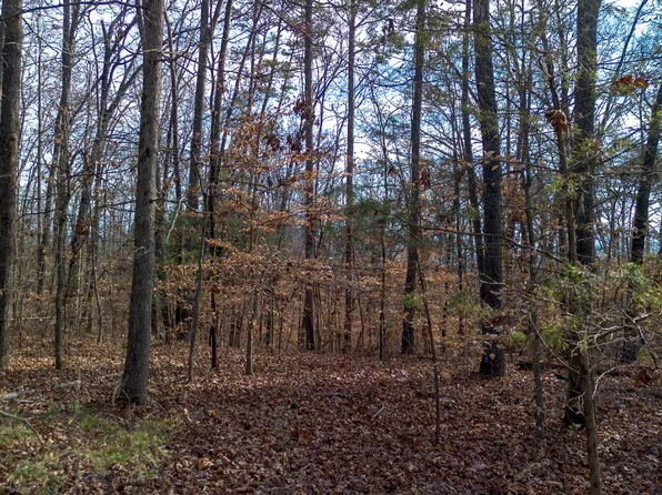 TRACT 4 Armstrong Dr, Dandridge, TN 37725