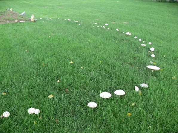 7962 Glenwood Dr, Roscoe, IL 61073