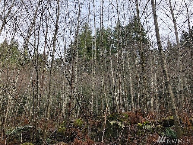2nd image of 10016 Foss River Rd NE