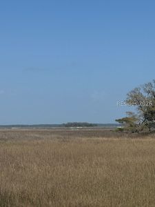 42 Cedar Cove Ln, Daufuskie Island, SC, 29915