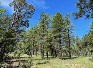 2933 Sandia Cir, Happy Jack, AZ 86024