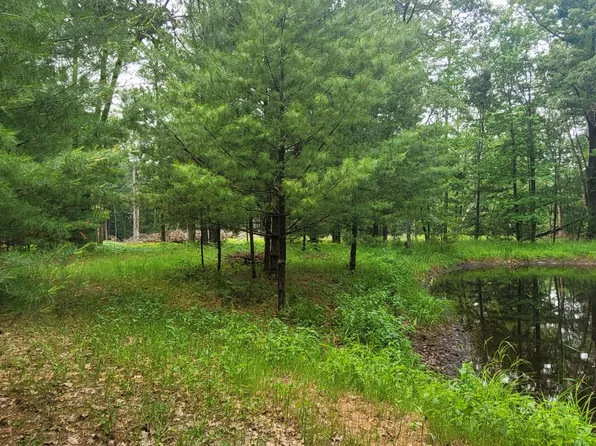 12th St, Pentwater, MI 49449