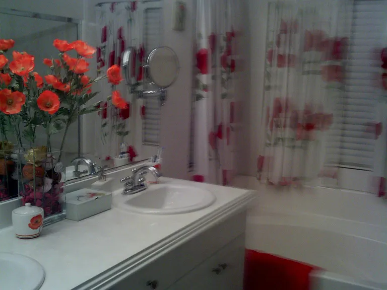 Master bath view with tenant curtains and prior to new lighting